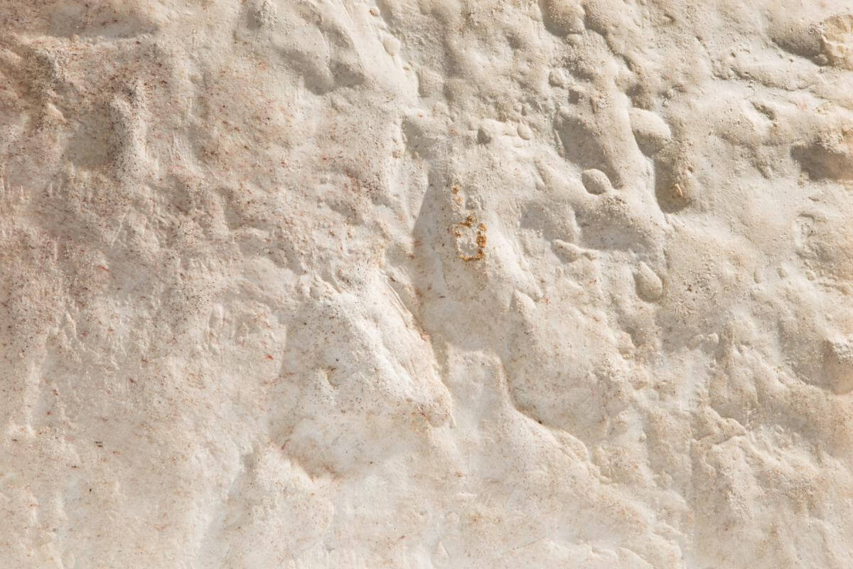 S14SL
